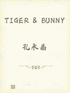 TIGER & BUNNY